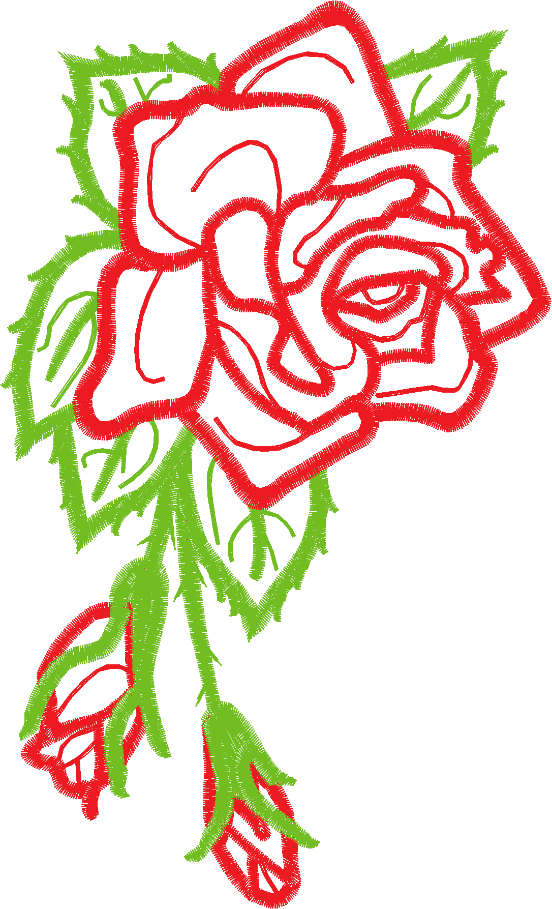 Floral 205  (72)