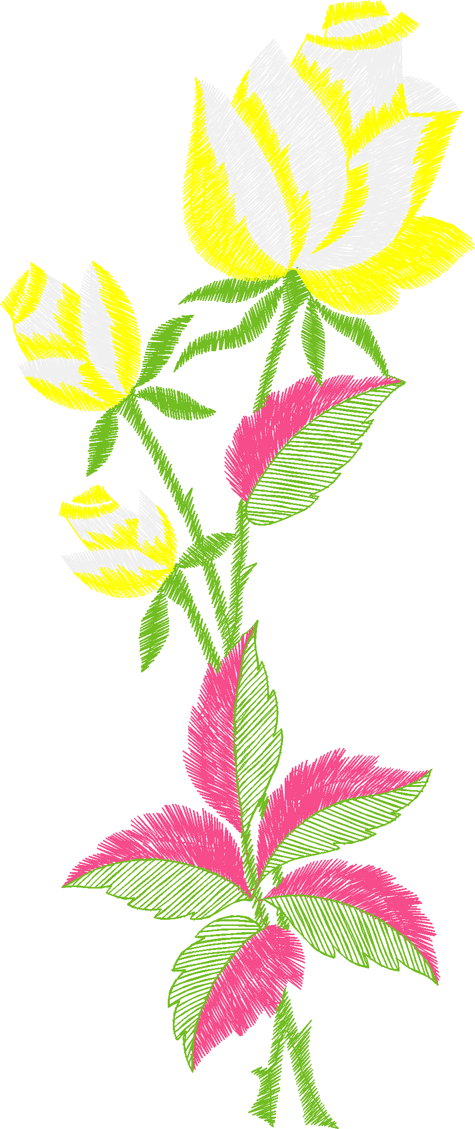 Floral 206  (57)