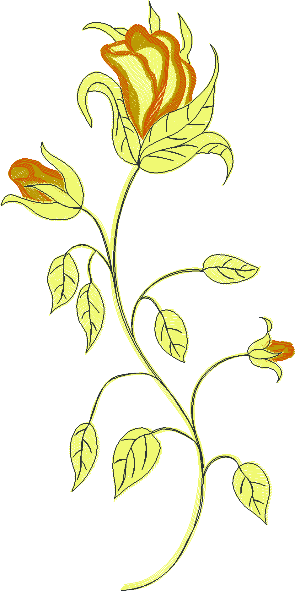 Floral 206  (81)