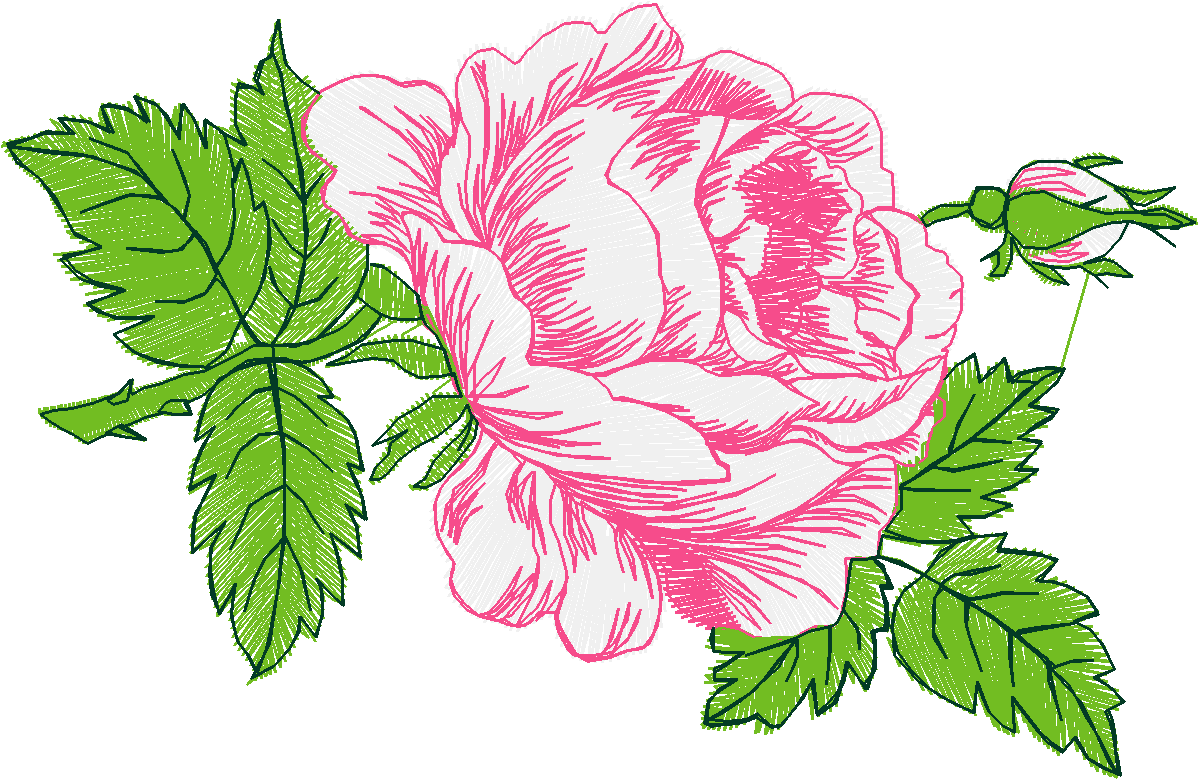 Floral 207  (20)
