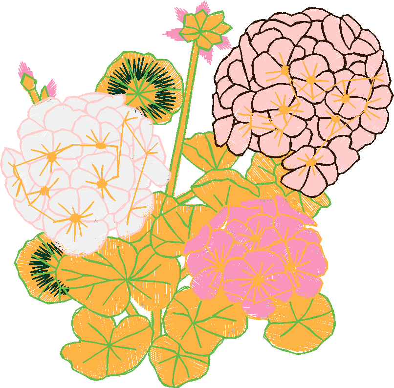 Floral 207  (22)