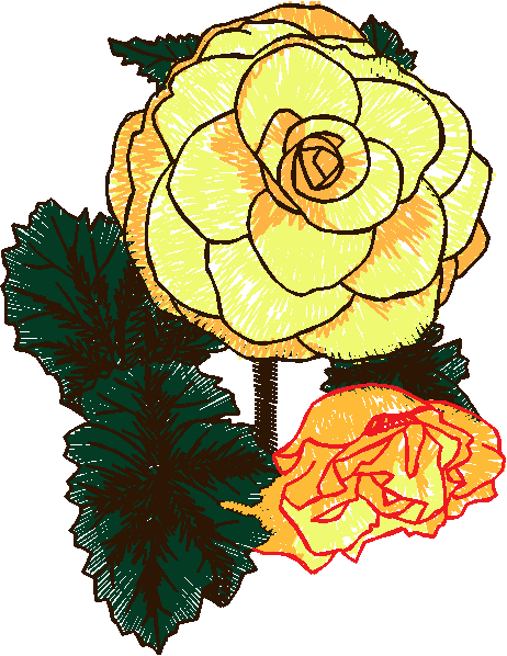 Floral 207  (23)