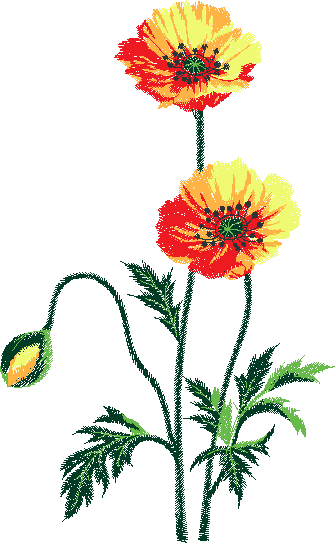 Floral 207  (39)