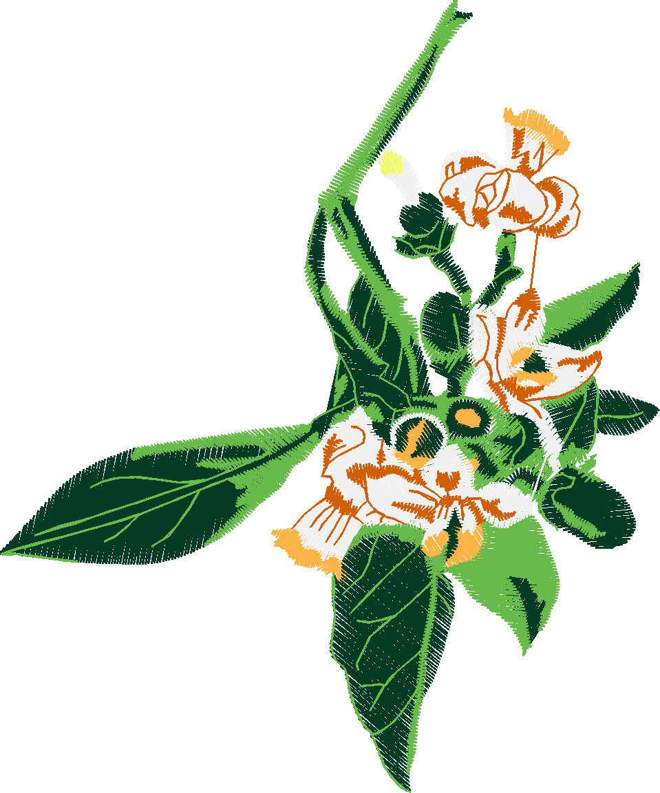 Floral 207  (4)