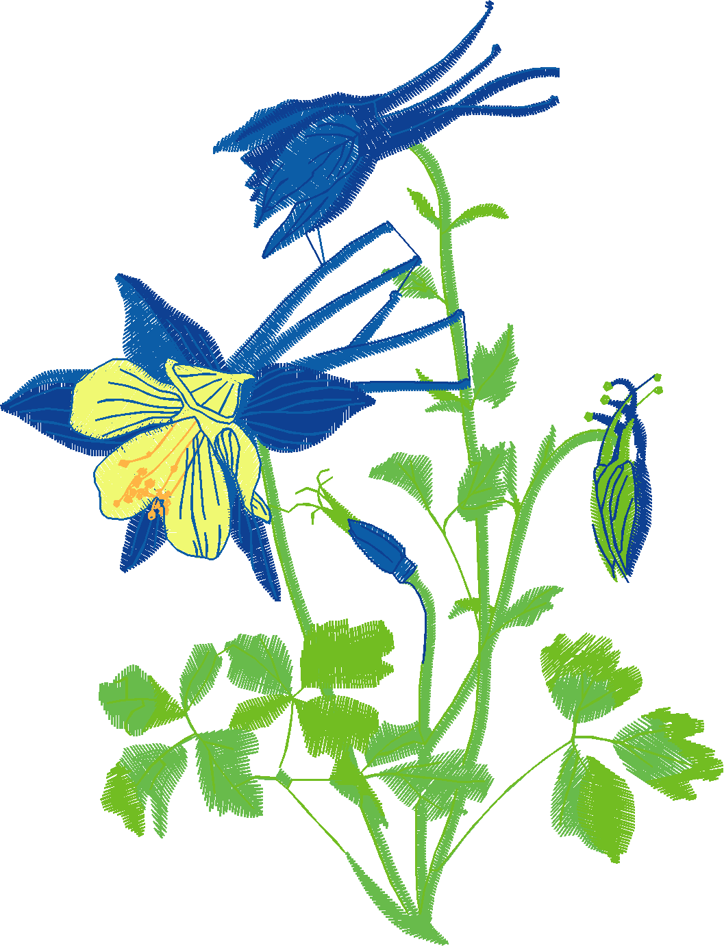 Floral 207  (5)