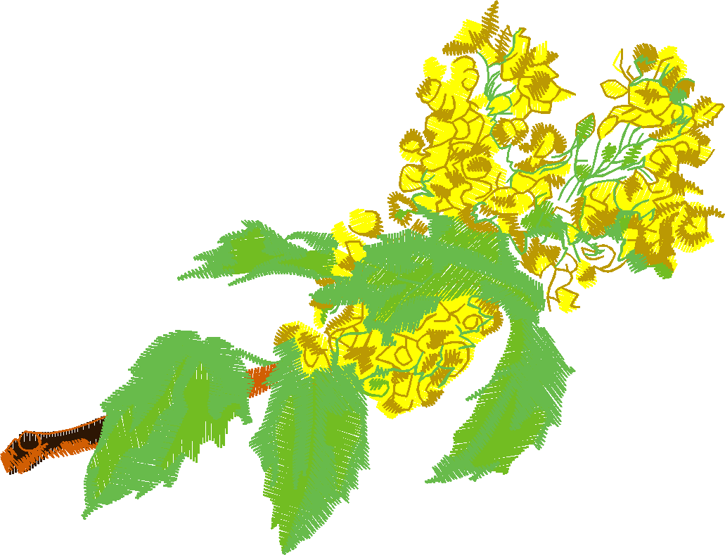Floral 207  (6)