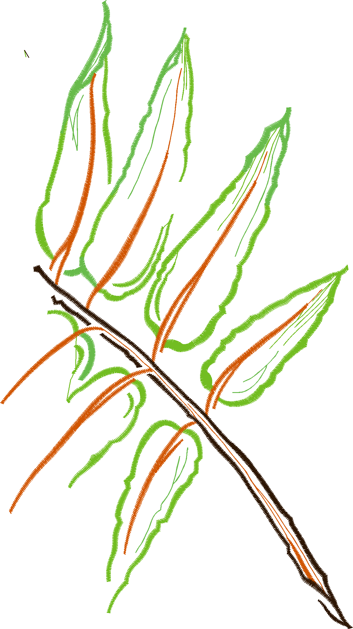 Floral 207  (90)