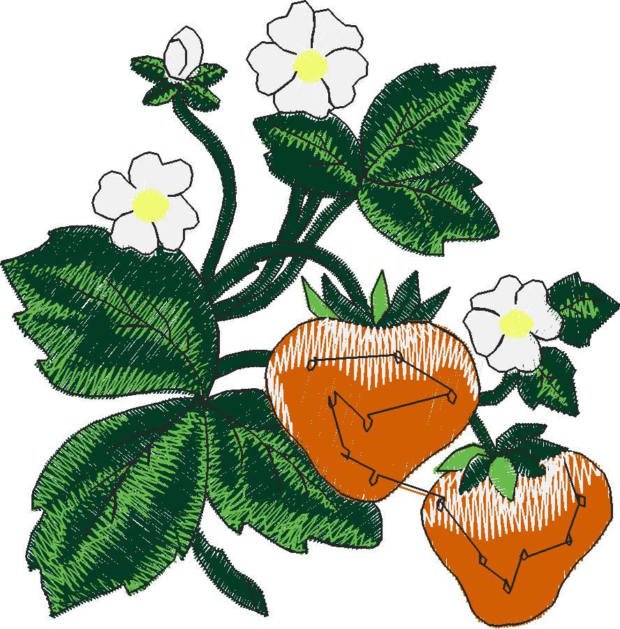 Floral 208  (22)