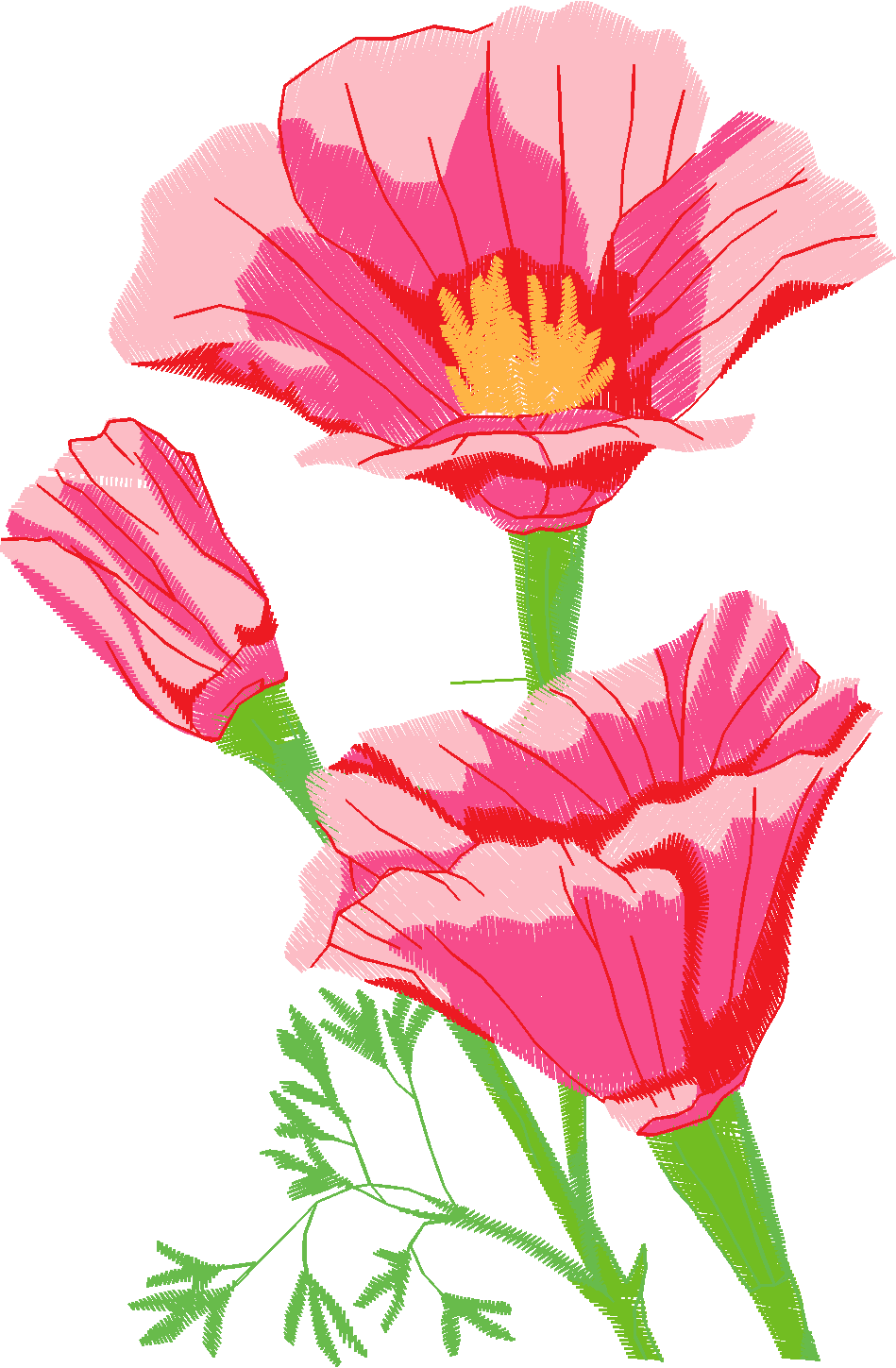 Floral 208  (52)