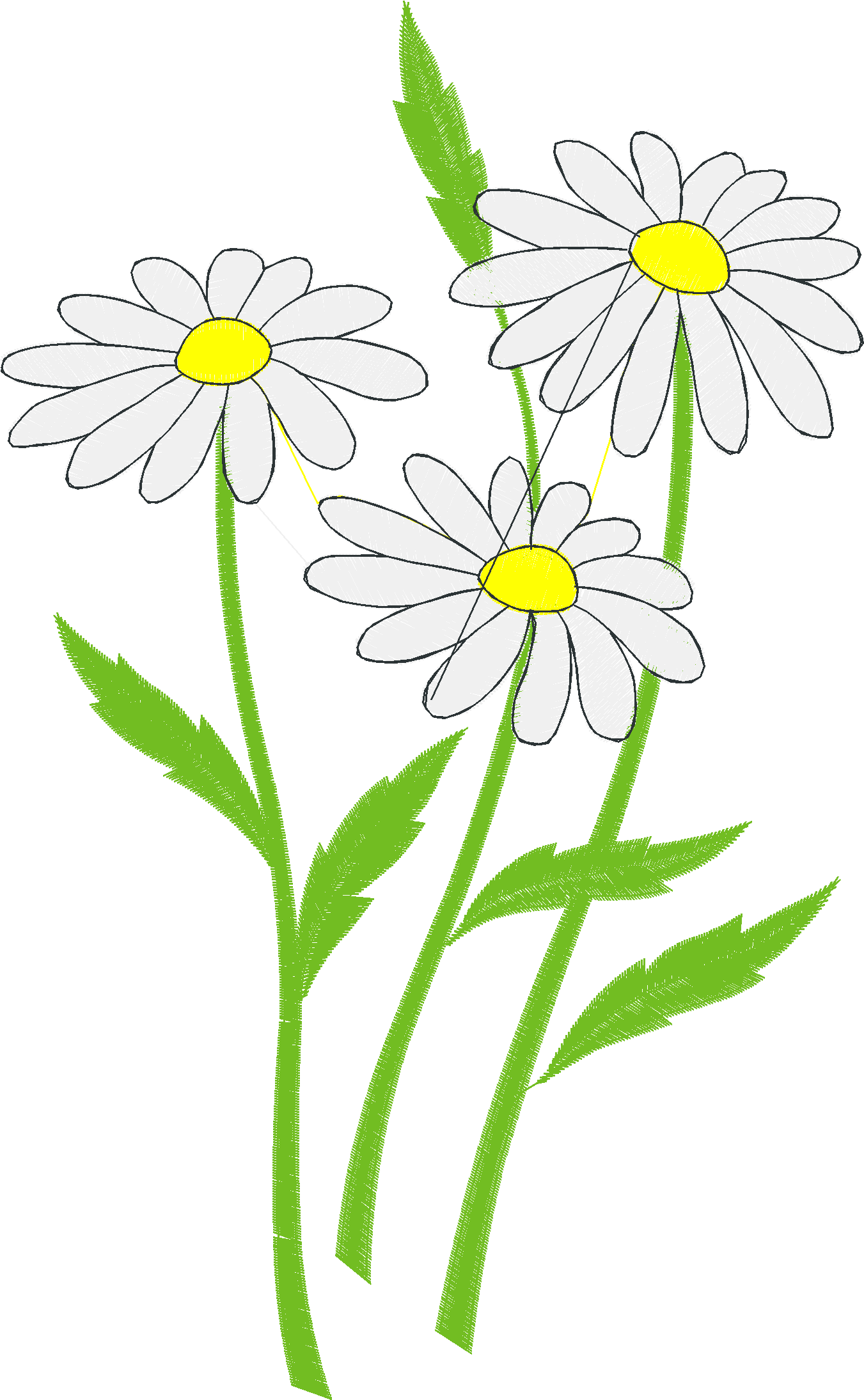 Floral 209  (58)