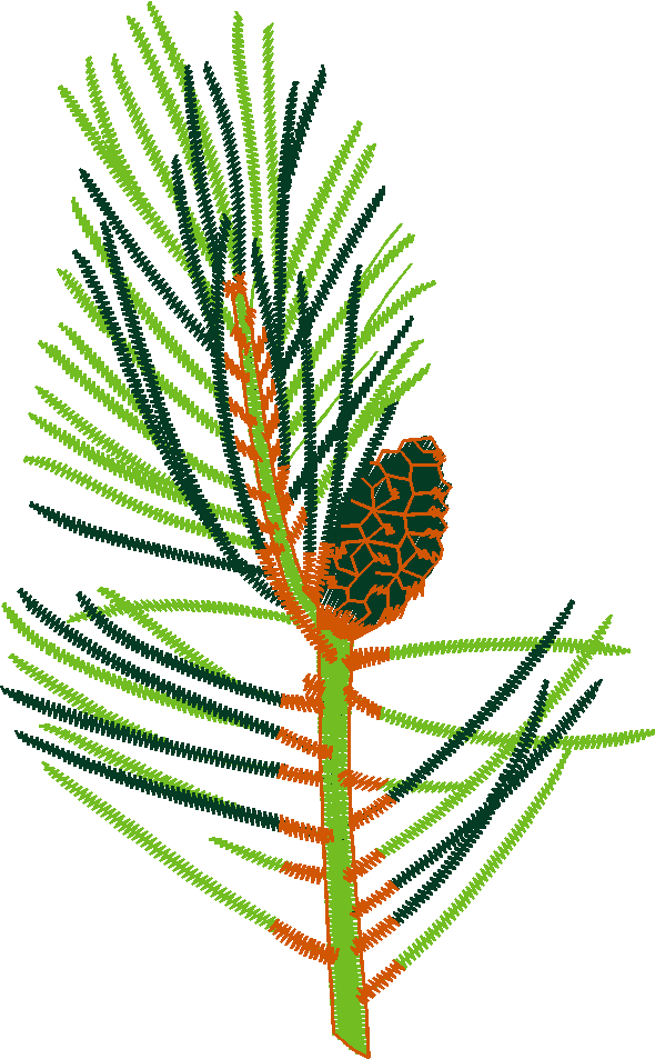 Floral 21  (3)
