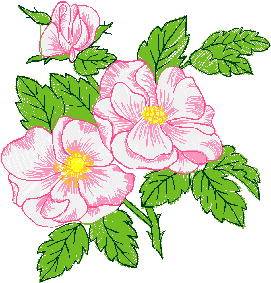 Floral 210  (5)