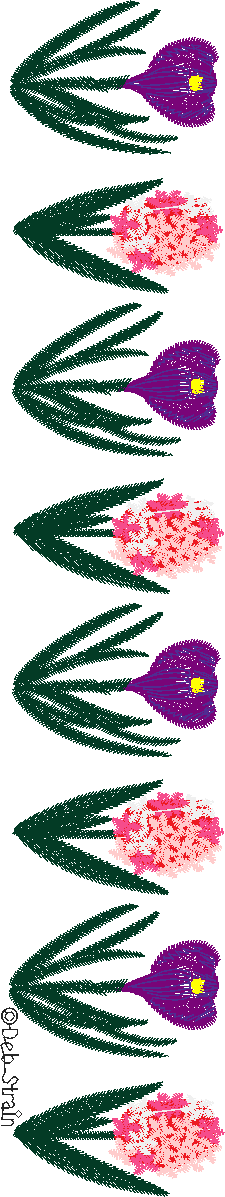Floral 210  (50)