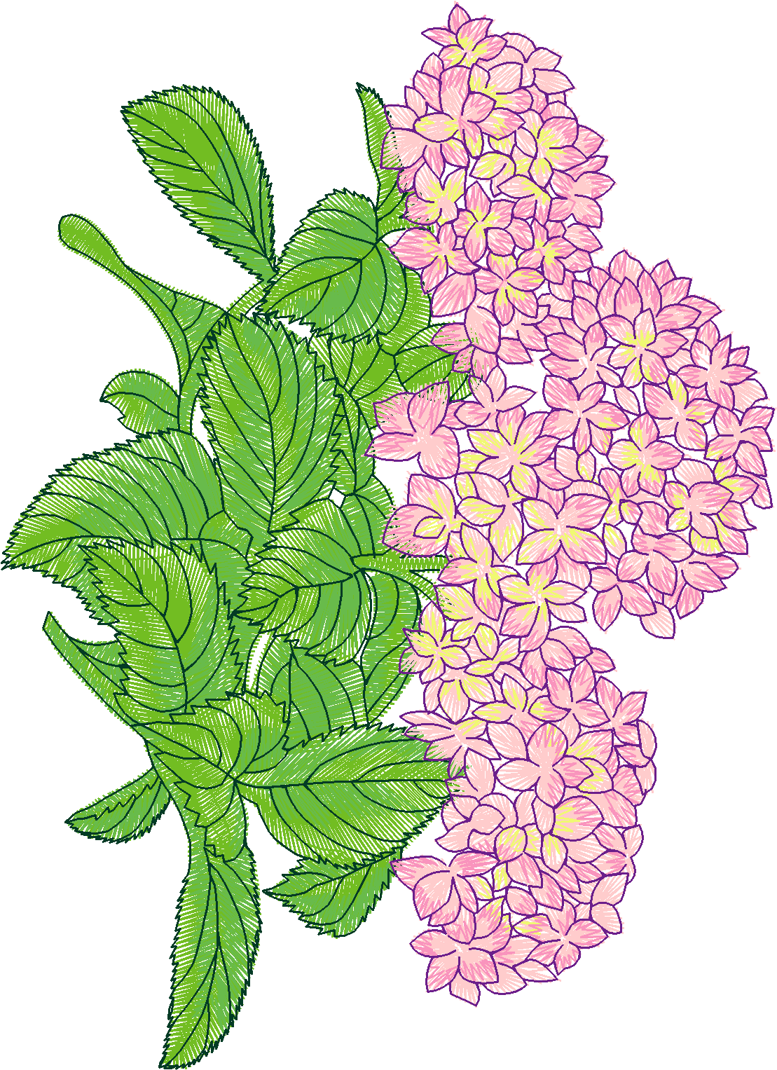 Floral 211  (1)