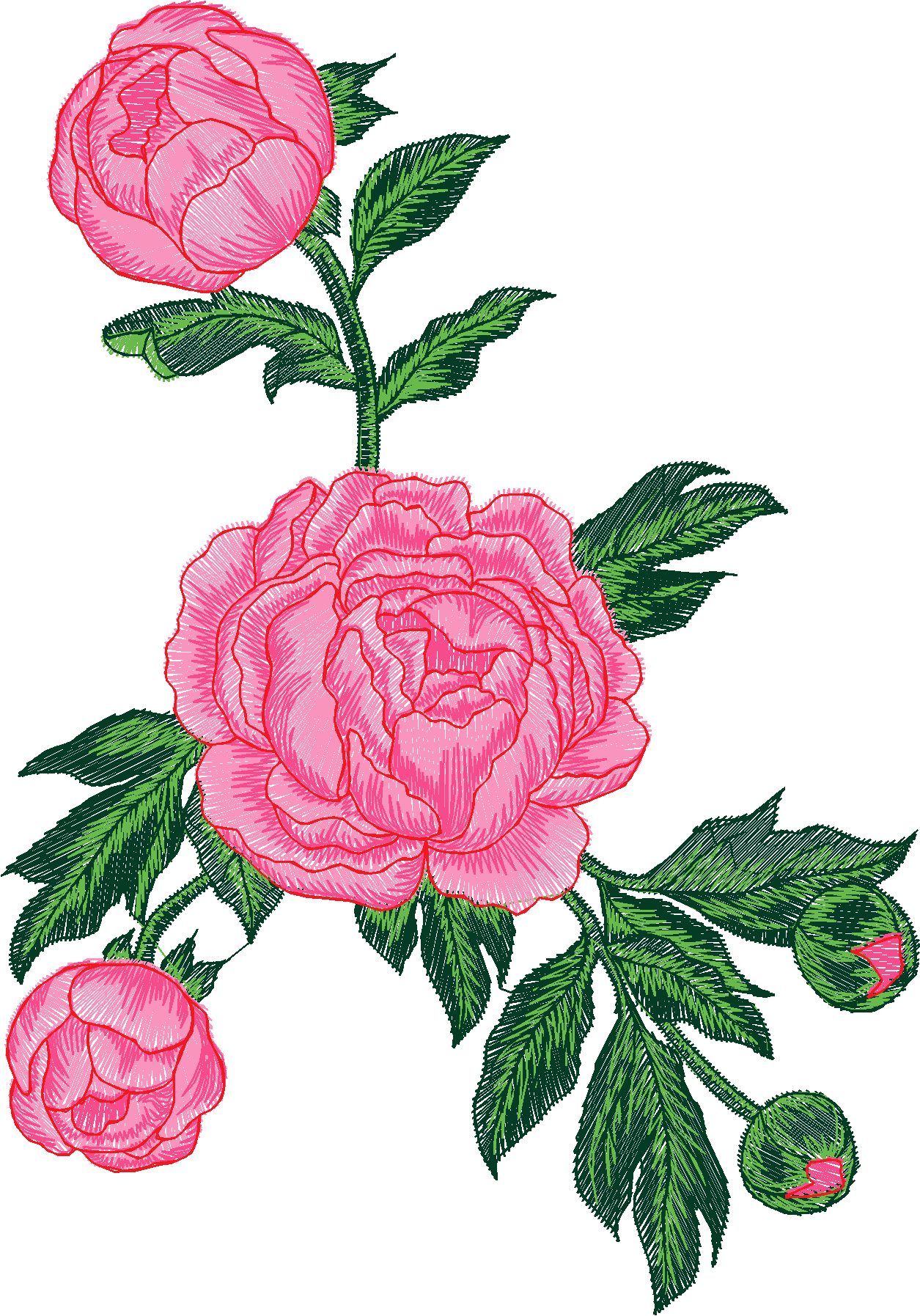 Floral 211  (70)