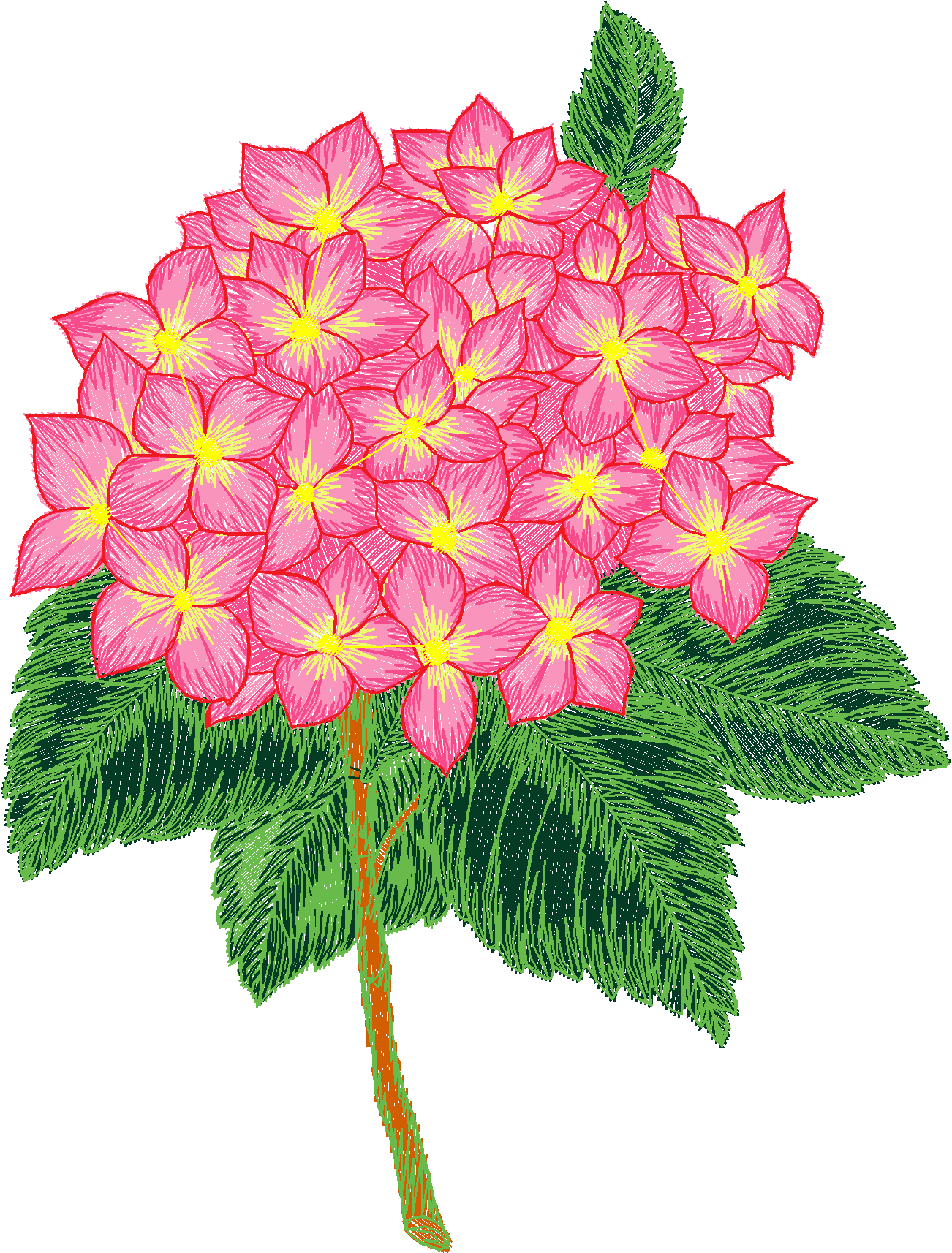 Floral 211  (72)