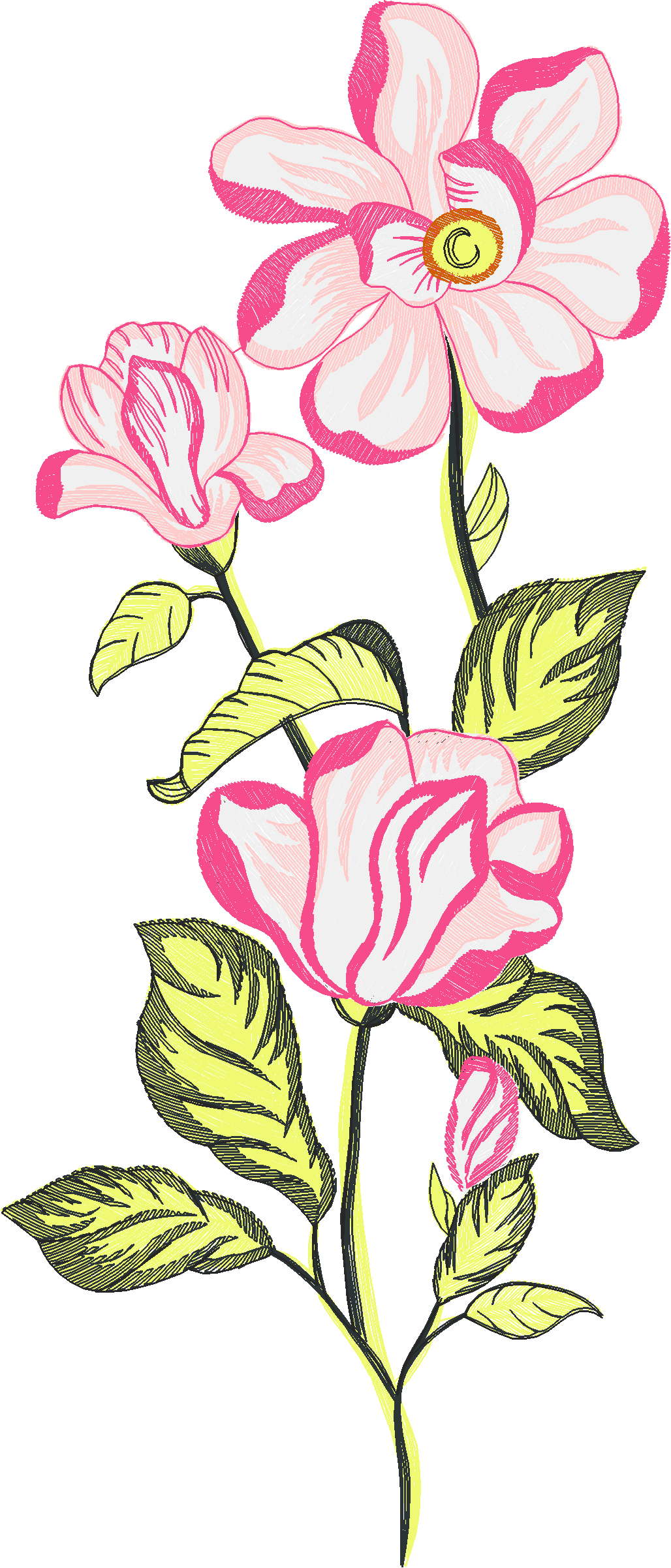 Floral 211  (92)#