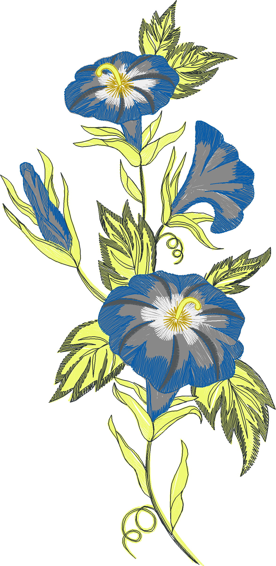 Floral 211  (94)#