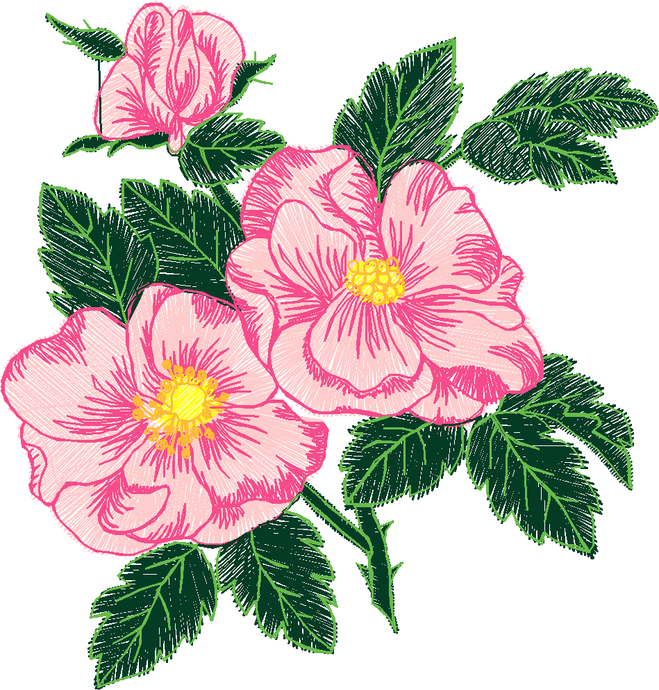 Floral 211  (99)
