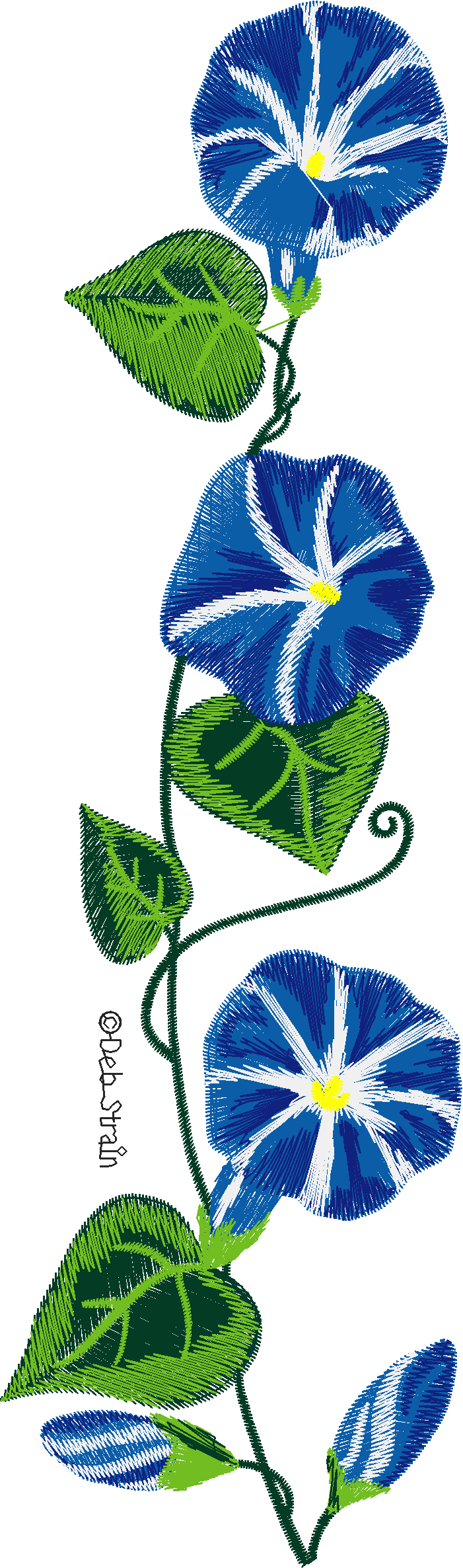 Floral 212  (8)