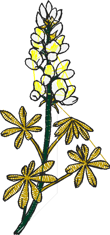 Floral 214  (12)