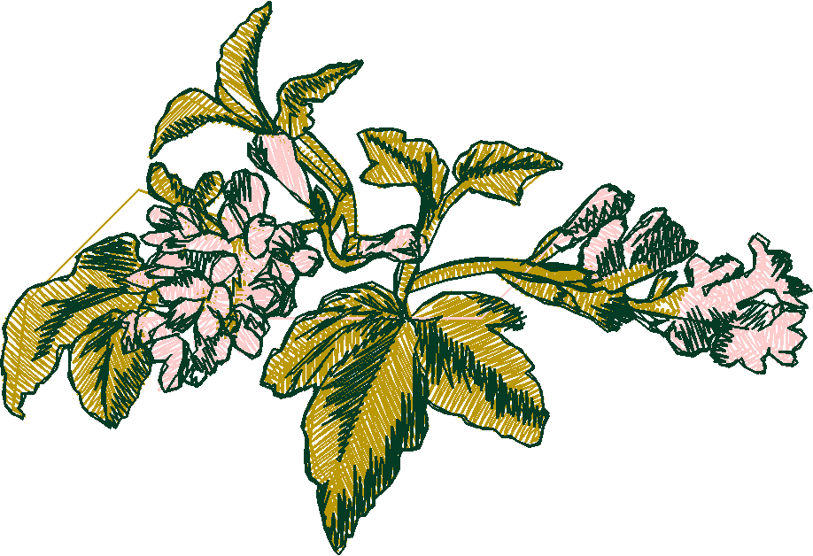 Floral 214  (15)