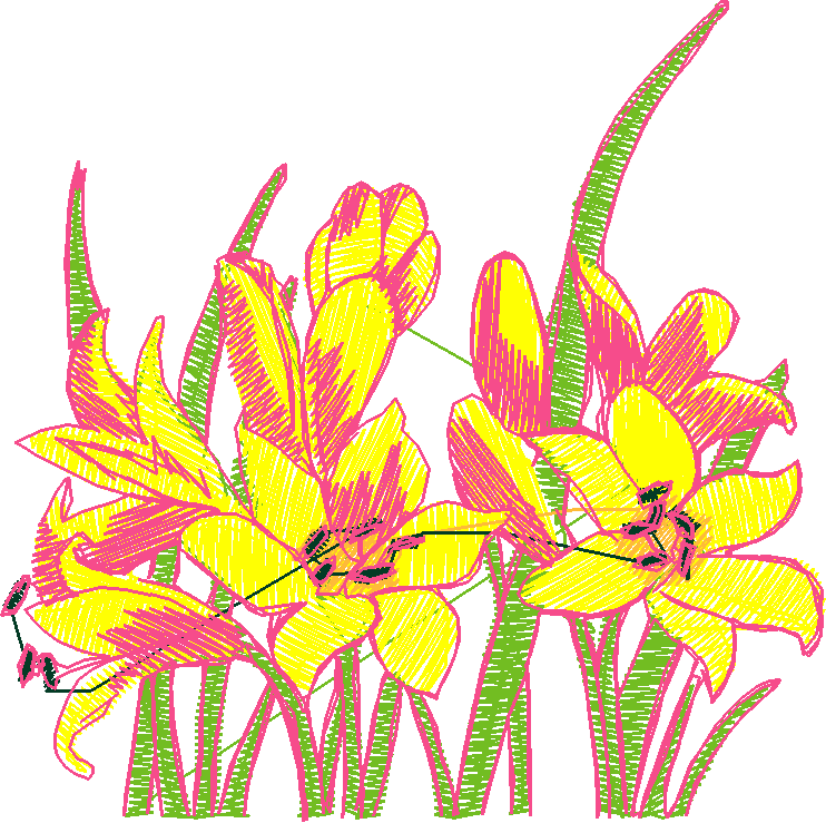 Floral 214  (8)
