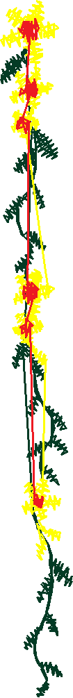 Floral 215  (12)