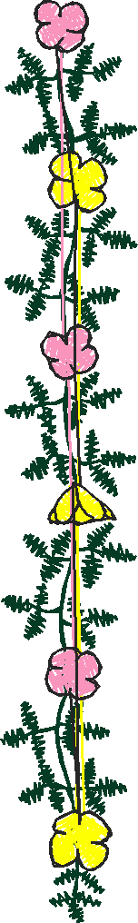 Floral 215  (20)