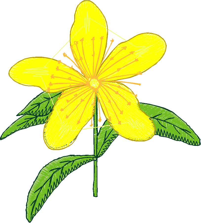 Floral 217  (13)