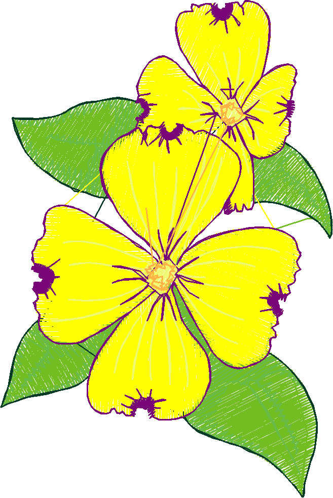 Floral 217  (5)