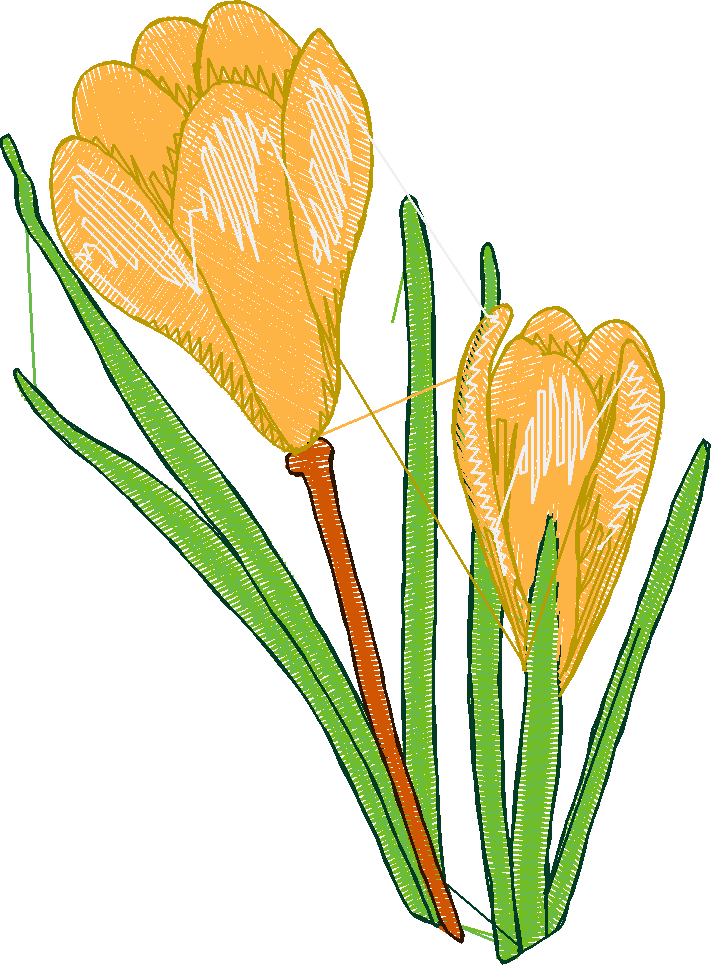 Floral 217  (7)