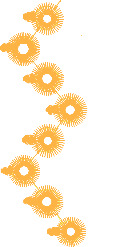 Floral 218  (13)