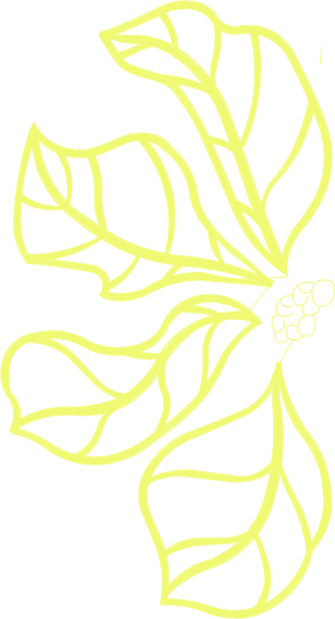 Floral 221 (70)