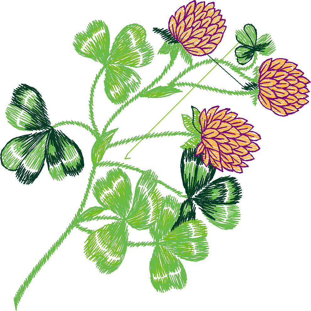 Floral 223  (1)