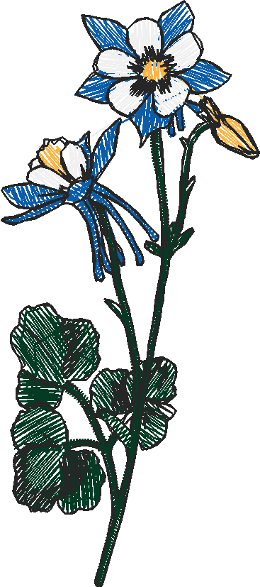 Floral 225  (19)
