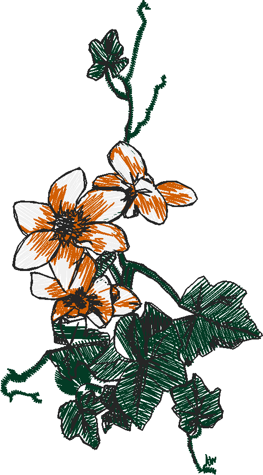Floral 225  (20)