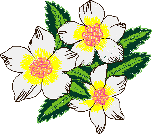 Floral 226  (13)