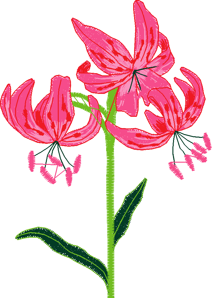 Floral 226  (14)