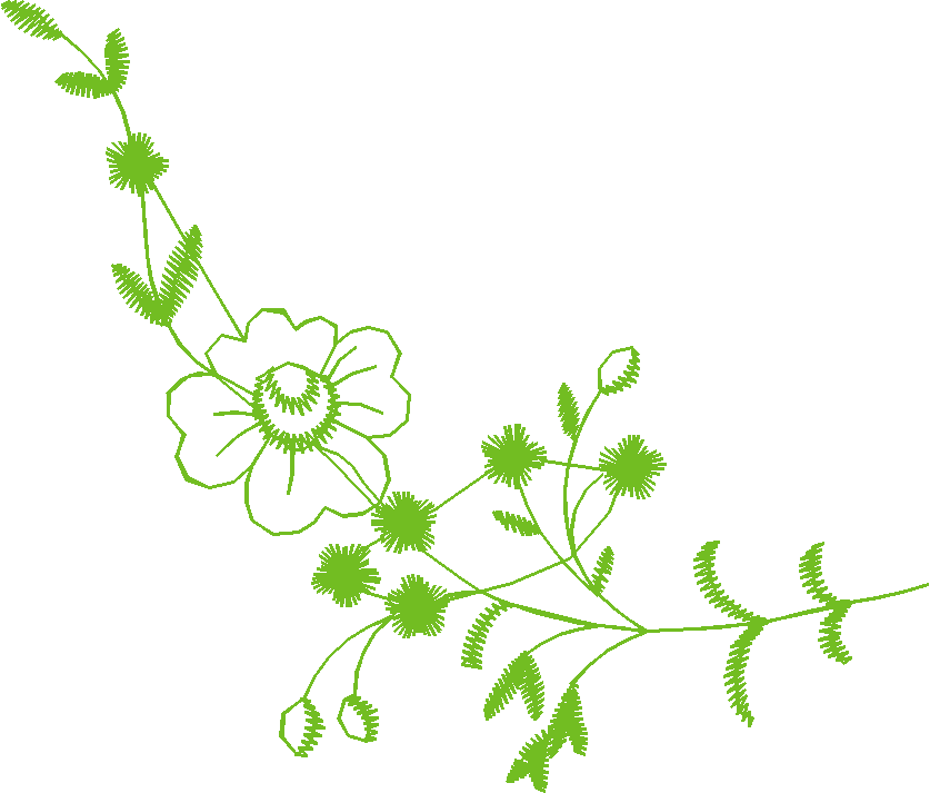 Floral 24  (1)