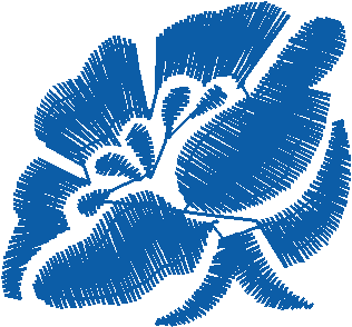 Floral 24  (3)