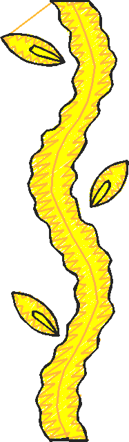 Floral 3  (5)