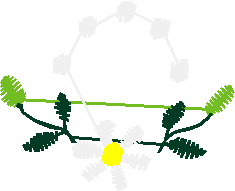Floral 30  (20)