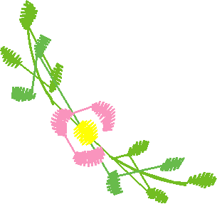 Floral 30  (48)