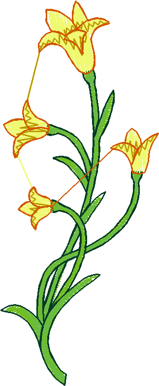 Floral 31  (20)