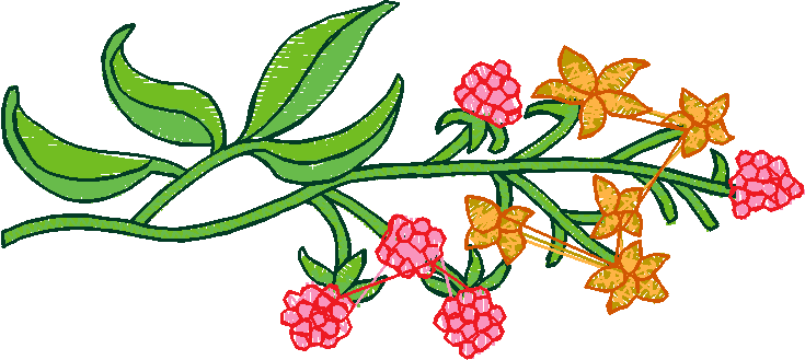 Floral 31  (7)