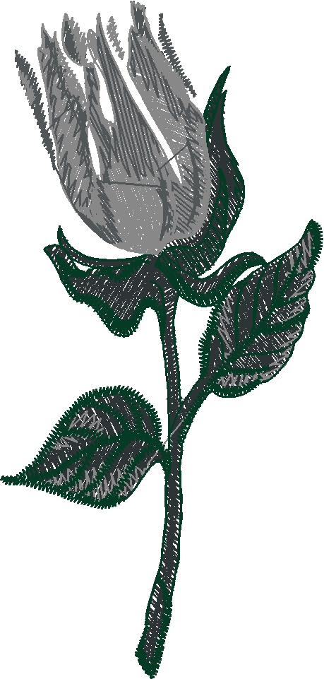 Floral 32  (1)