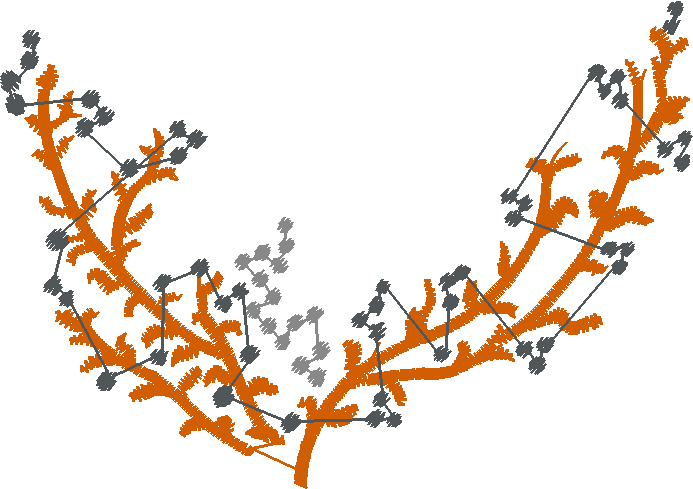 Floral 32  (15)