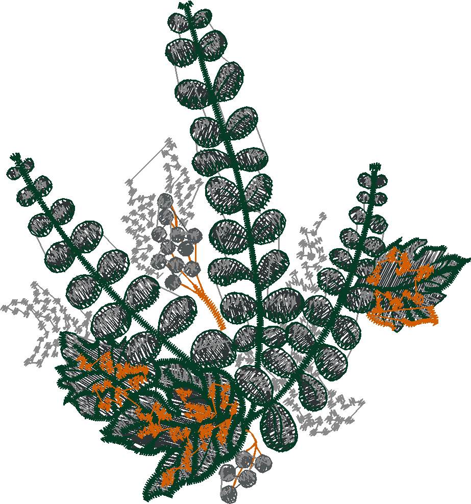 Floral 32  (3)