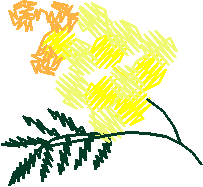 Floral 33  (8)